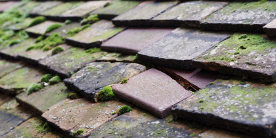 Llanfwrog roof repair costs